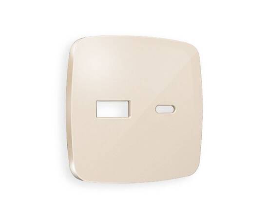 Лицевая панель для розетки 2USB тип A+C Ambrella Volt Omega OP3110