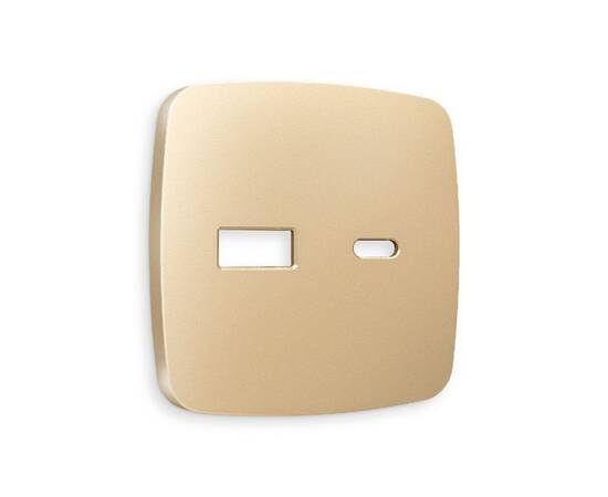 Лицевая панель для розетки 2USB тип A+C Ambrella Volt Omega OP6110