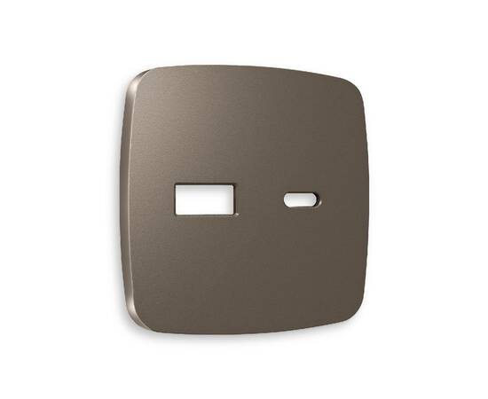 Лицевая панель для розетки 2USB тип A+C Ambrella Volt Omega OP6410