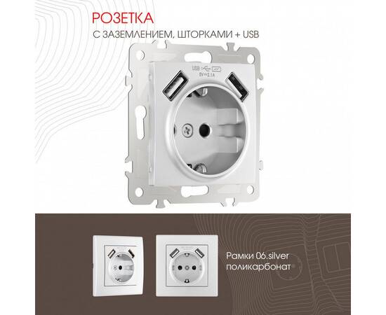 Розетка с заземлением, шторками + 2 USB Arte Milano 206.47-1.silver
