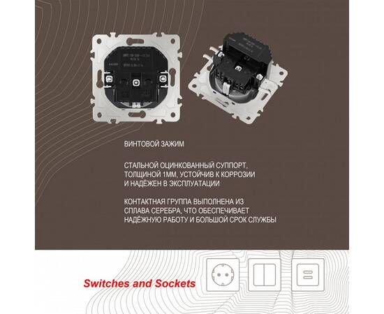 Розетка с заземлением, шторками + 2 USB Arte Milano 206.47-1.silver, изображение 2