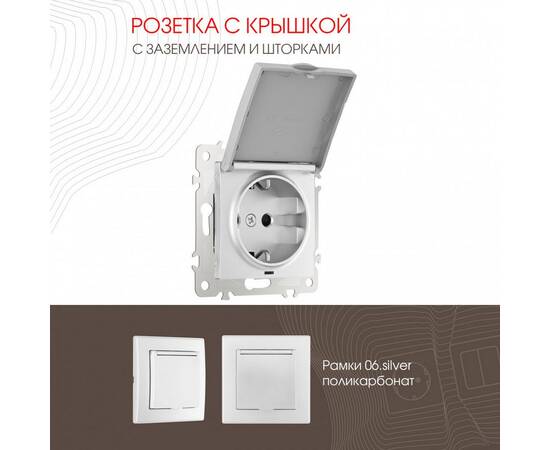 Розетка с заземлением, шторками и защитной крышкой Arte Milano 206.41-1.silver