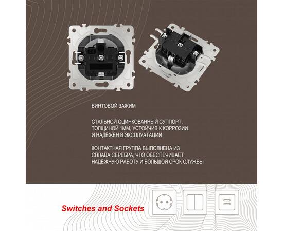 Розетка с заземлением, шторками и защитной крышкой Arte Milano 206.41-1.silver, изображение 2