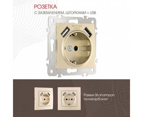 Розетка с заземлением, шторками + 2 USB Arte Milano 206.47-1.shampan