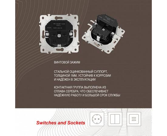 Розетка с заземлением, шторками + 2 USB Arte Milano 206.47-1.shampan, изображение 2