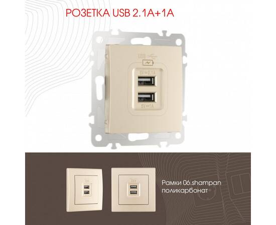 Розетка USB 2.1А+1А Arte Milano 206.46-1.shampan