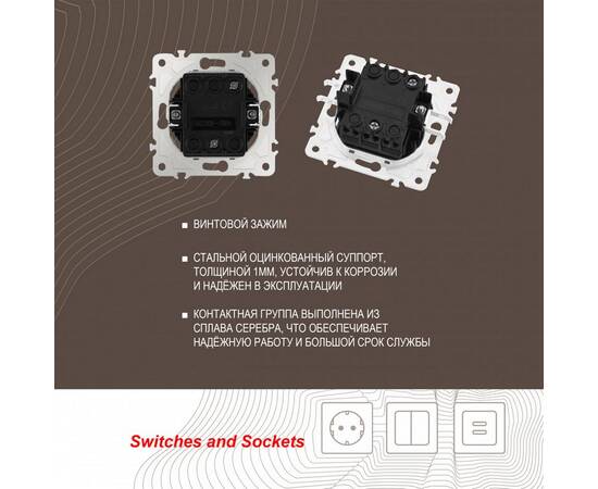 Выключатель одноклавишный Arte Milano 202.30-1.shampan, изображение 2