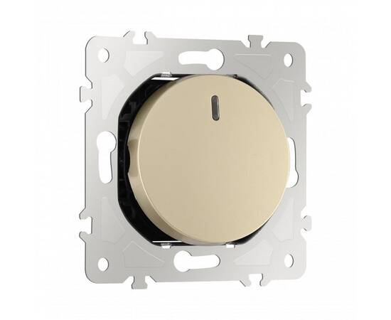 Переключатель одноклавишный перекрестный с подсветкой Arte Milano 202.35-1.shampan, изображение 7