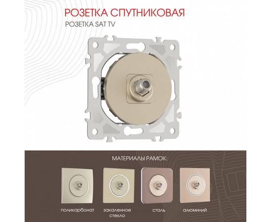 Розетка спутниковая SAT TV Arte Milano 202.42-1.shampan