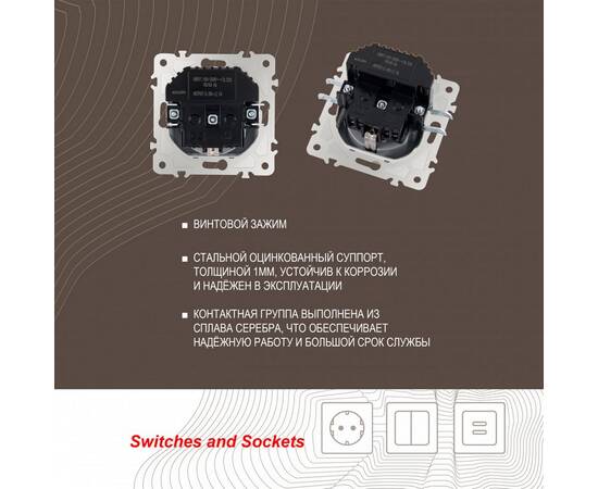 Розетка с заземлением, шторками + USB Arte Milano 203.47-1.silver, изображение 2