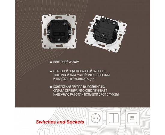 Выключатель одноклавишный Arte Milano 203.30-1.shampan, изображение 2