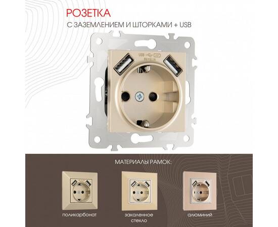 Розетка с заземлением, шторками + USB Arte Milano 203.47-1.shampan