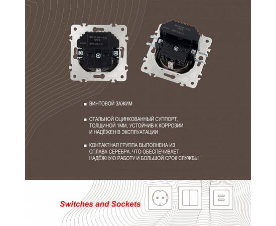 Розетка с заземлением, шторками + USB Arte Milano 203.47-1.shampan, изображение 2