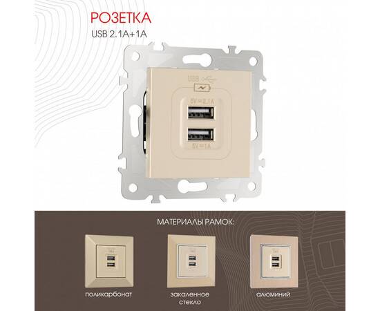 Розетка USB 2.1А+1А Arte Milano 203.46-1.shampan