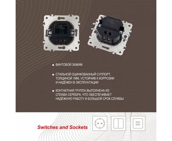 Розетка USB 2.1А+1А Arte Milano 203.46-1.shampan, изображение 2