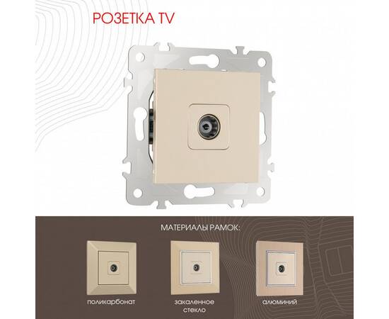 Розетка TV Arte Milano 203.43-1.shampan
