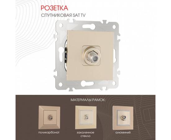 Розетка спутниковая SAT TV Arte Milano 203.42-1.shampan