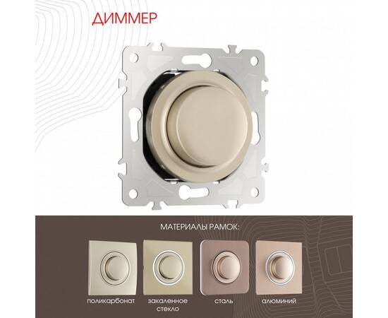 Диммер Arte Milano 202.48-1.shampan