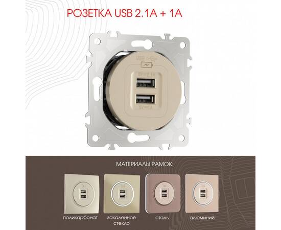Розетка USB 2.1А+1А Arte Milano 202.46-1.shampan