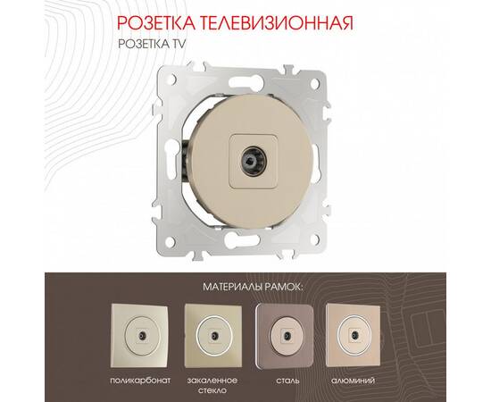 Розетка TV Arte Milano 202.43-1.shampan