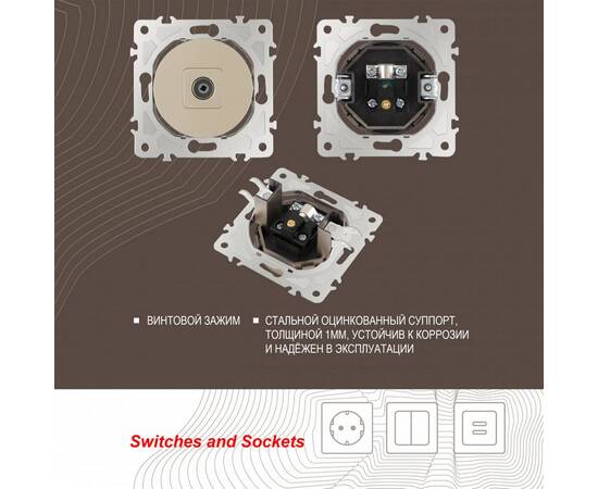 Розетка TV Arte Milano 202.43-1.shampan, изображение 2