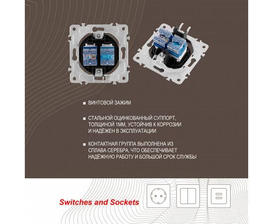 Розетка телефонная RJ11 + компьютерная RJ45 Arte Milano 202.44-1.shampan, изображение 2