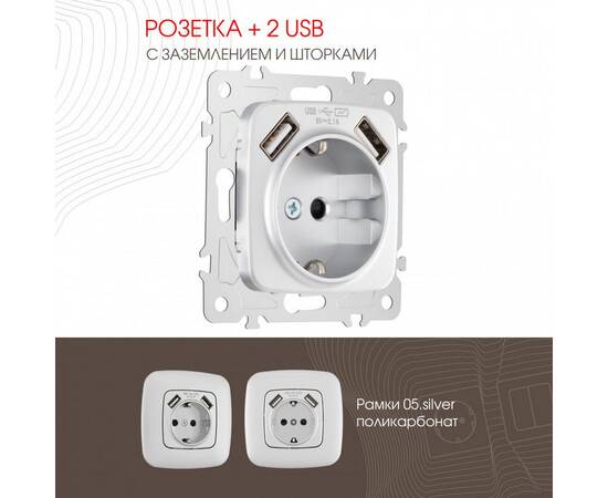 Розетка с заземлением, шторками + 2 USB Arte Milano 205.47-1.silver