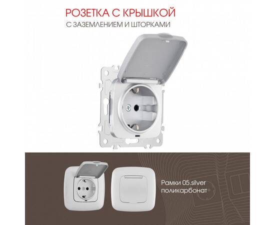 Розетка с заземлением, шторками и защитной крышкой Arte Milano 205.41-1.silver