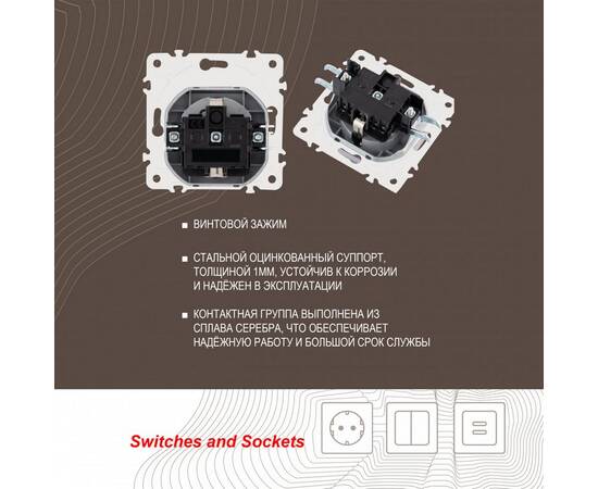 Розетка с заземлением, шторками и защитной крышкой Arte Milano 205.41-1.silver, изображение 2