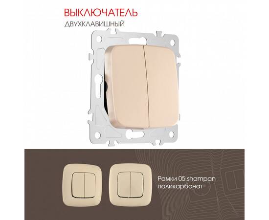 Выключатель двухклавишный Arte Milano 205.30-2.shampan