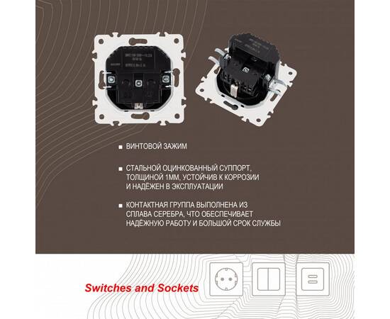 Розетка с заземлением, шторками + 2 USB Arte Milano 205.47-1.shampan, изображение 2