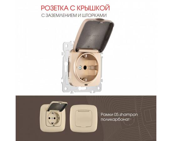 Розетка с заземлением, шторками и защитной крышкой Arte Milano 205.41-1.shampan