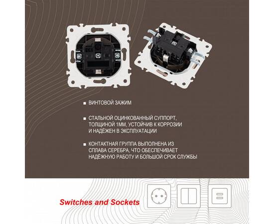 Розетка с заземлением, шторками и защитной крышкой Arte Milano 205.41-1.shampan, изображение 2