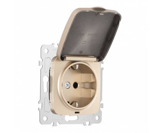 Розетка с заземлением, шторками и защитной крышкой Arte Milano 205.41-1.shampan, изображение 4