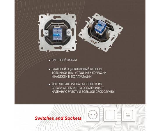 Розетка телефонная RJ11 Arte Milano 205.51-1.shampan, изображение 2