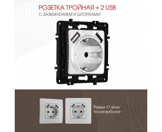Розетка с заземлением, шторками + 2 USB Arte Milano 217.47-1.silver