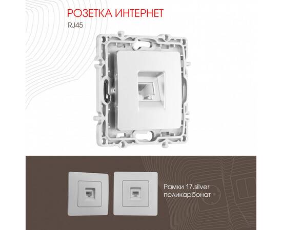 Розетка RJ45 Arte Milano 217.45-1.silver