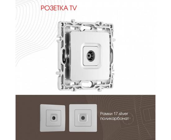 Розетка TV Arte Milano 217.43-1.silver