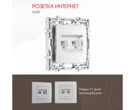 Розетка RJ45 Arte Milano 217.45-2.silver