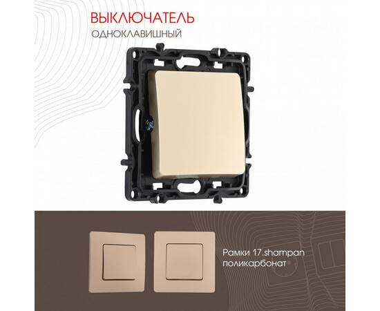 Выключатель одноклавишный Arte Milano 217.30-1.shampan