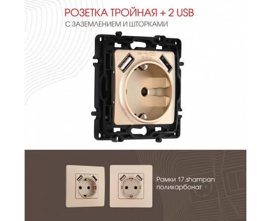 Розетка с заземлением, шторками + 2 USB Arte Milano 217.47-1.shampan