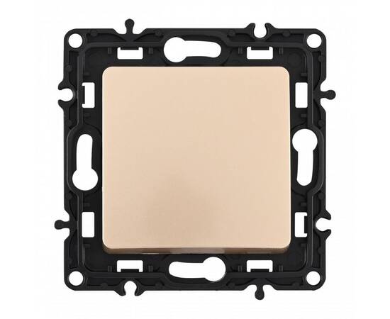 Переключатель одноклавишный перекрестный Arte Milano 217.34-1.shampan, изображение 4