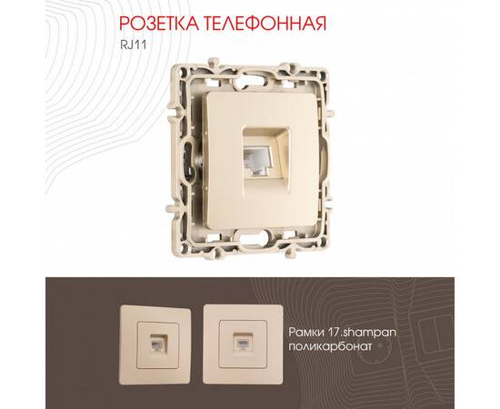 Розетка телефонная RJ11 Arte Milano 217.51-1.shampan