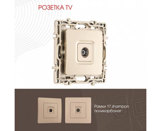 Розетка TV Arte Milano 217.43-1.shampan