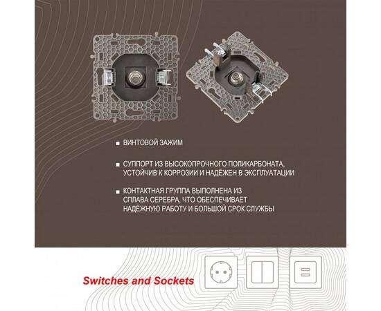 Розетка спутниковая SAT TV Arte Milano 217.42-1.shampan, изображение 2