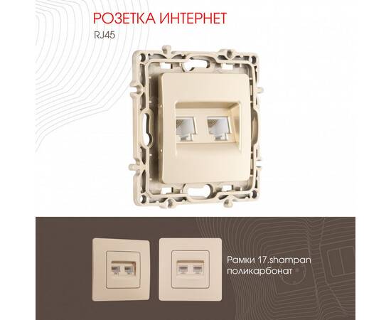 Розетка RJ45 Arte Milano 217.45-2.shampan
