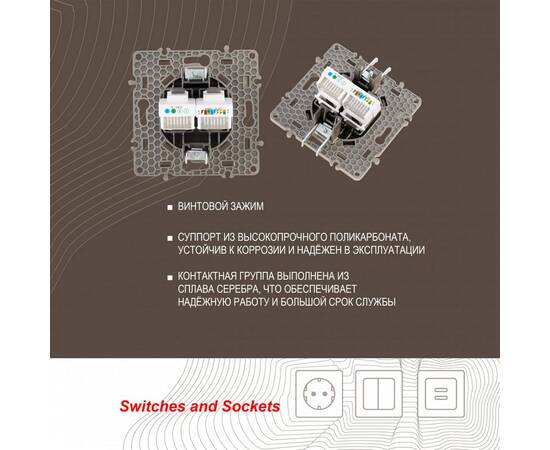 Розетка телефонная RJ11 + компьютерная RJ45 Arte Milano 217.44-1.shampan, изображение 2