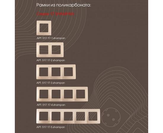 Розетка телефонная RJ11 + компьютерная RJ45 Arte Milano 217.44-1.shampan, изображение 3