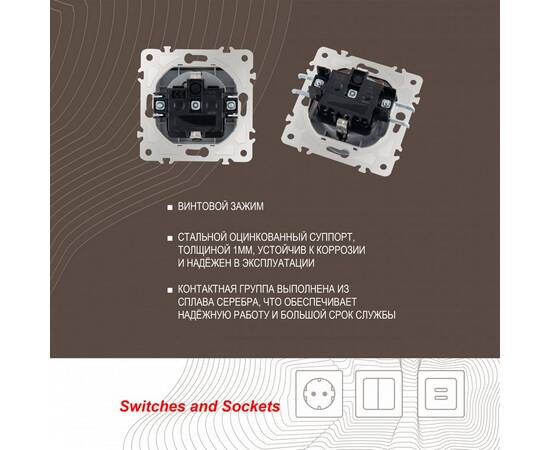 Розетка с заземлением, шторками и защитной крышкой Arte Milano 203.41-1.silver, изображение 2