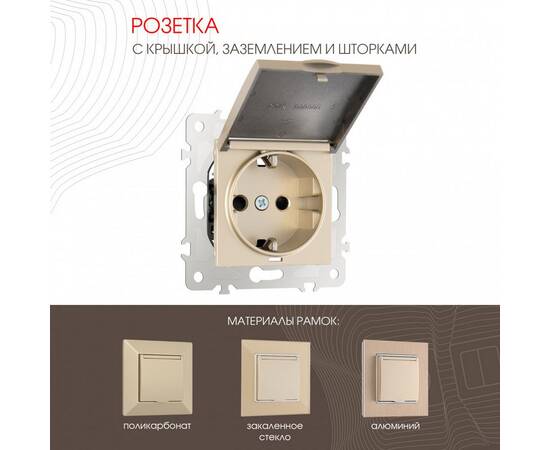 Розетка с заземлением, шторками и защитной крышкой Arte Milano 203.41-1.shampan